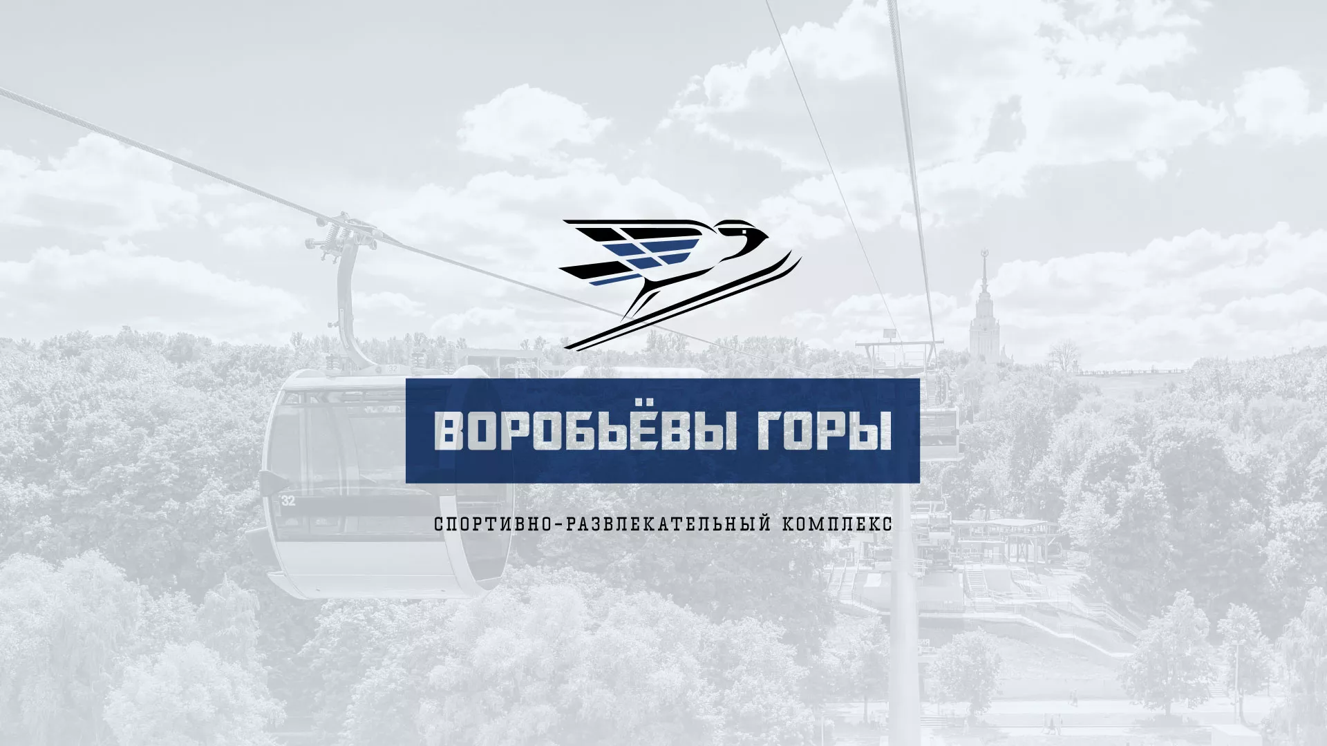 Разработка сайта в Никольске для спортивно-развлекательного комплекса «Воробьёвы горы»